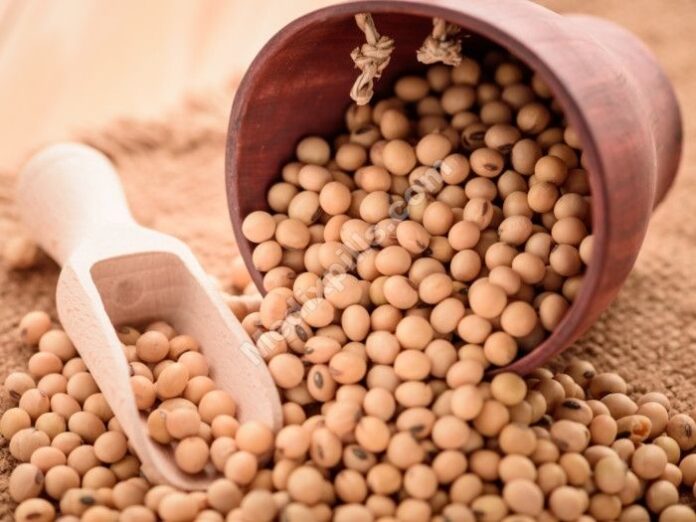 Men can benefit from soybeans in many ways