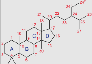 Where To Get Steroids