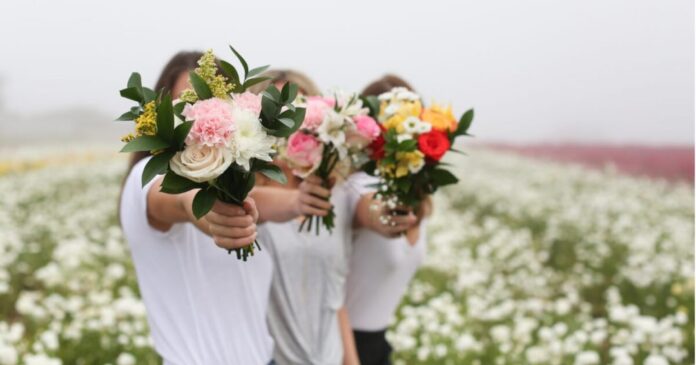 Friendship Day Flowers in Frisco TX