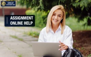 Assignment Help online