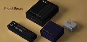 Collapsible Rigid Boxes