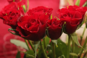 Florists In The Villages FL