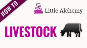 live stock