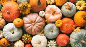 5120x1440p 329 Fall Image