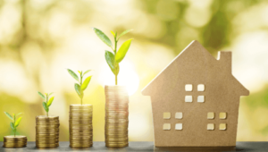 Investment in Blue World City