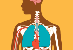 The Impact of Alcohol Addiction on Physical Health