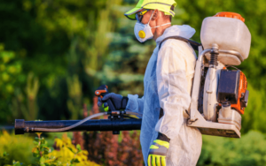 Pests Can be a Nuisance in Any Home