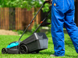 The Best Lawn Service Companies In Melrose Prevent Weeds Before They Start