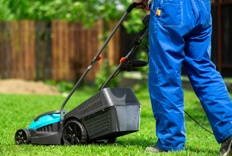 The Best Lawn Service Companies In Melrose Prevent Weeds Before They Start
