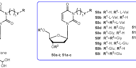 50b 50b rdbirnbaumprotocol