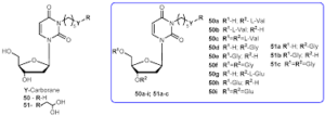 50b 50b rdbirnbaumprotocol