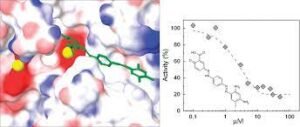 50b nsf rdbirnbaumprotocol