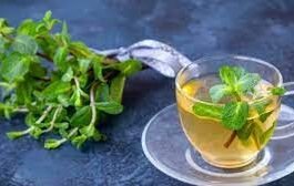 wellhealthorganic.com:5-herbal-teas-you-can-consume-to-get-relief-from-bloating-and-gas