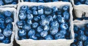 wellhealthorganic.com 10-best-ways-to-use-blueberries