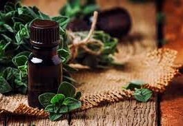 wellhealthorganic.com/how-to-build-muscle-know-tips-to-increase-muscles