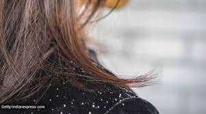 wellhealthorganic.com:ayurvedic-treatment-of-hair-problem