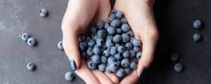 wellhealthorganic.com:blueberry-brain-boosting-benefits