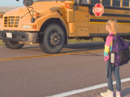 I Accidentally Passed a Stopped School Bus