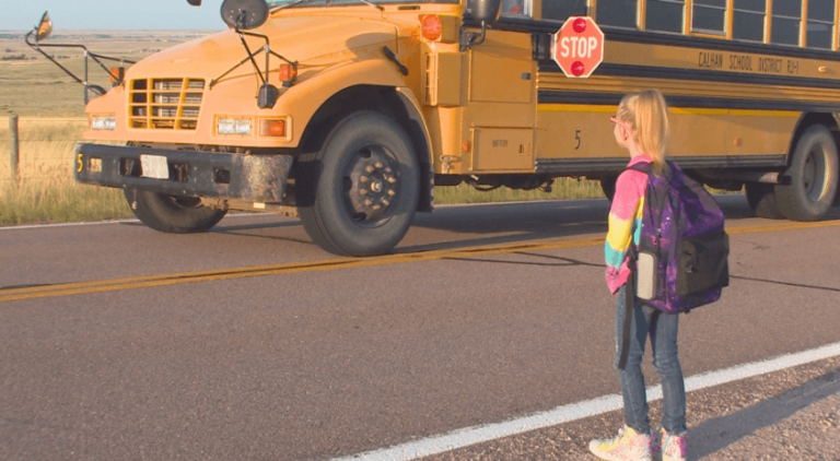 I Accidentally Passed a Stopped School Bus