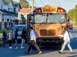 I Accidentally Passed a Stopped School Bus in Georgia