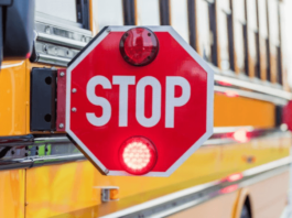 I Accidentally Passed a Stopped School Bus Texas