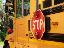 I Accidentally Passed a Stopped School Bus Ohio