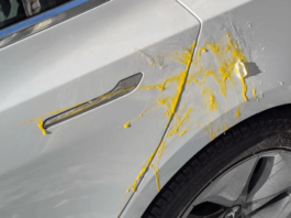 Is Egging a Car Illegal