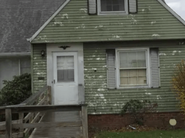 Is Egging Houses Illegal