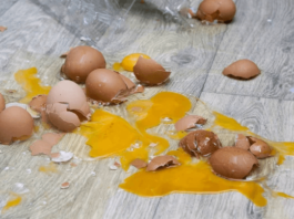 Is Egging Someones House Illegal