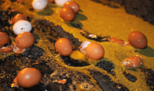 Is Throwing Eggs at a House Illegal