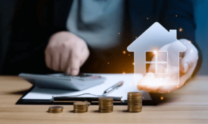 Property Investors