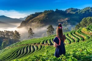 Northern Charms in Chiang