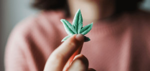 Weed Online