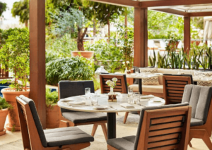 Dining Options Await in Abu Dhabi and Yas Marina
