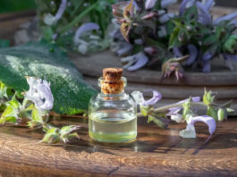 Clary Sage Uncovered: The Plant That's More Than Just A Scent