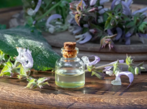 Clary Sage Uncovered: The Plant That's More Than Just A Scent