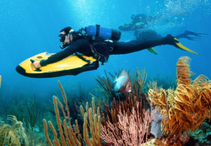 Seabob