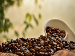 Coffee Beans Unveiled: Exploring the Spectrum of Varieties