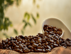 Coffee Beans Unveiled: Exploring the Spectrum of Varieties