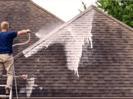 Roof Cleaning Services