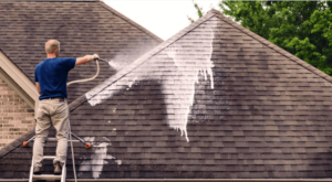Roof Cleaning Services