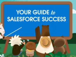 Choosing the Right Salesforce Service Cloud Services for Your Business: A Step-by-Step Guide