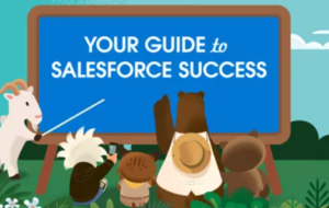 Choosing the Right Salesforce Service Cloud Services for Your Business: A Step-by-Step Guide