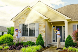 Siding Cleaning