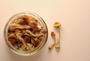 Factors Influencing the Speed of Shroom Onset and Peak Effects