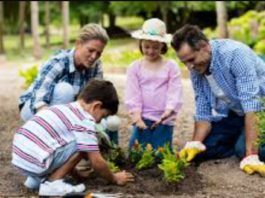 Gardening