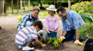 Gardening