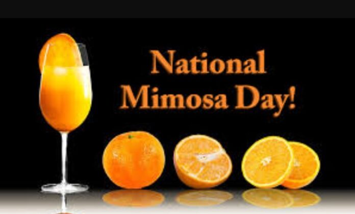 National Mimosa Day