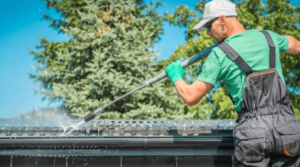 Gutter cleaning