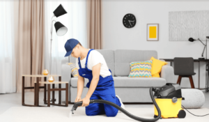 Best Carpet Cleaning Solution